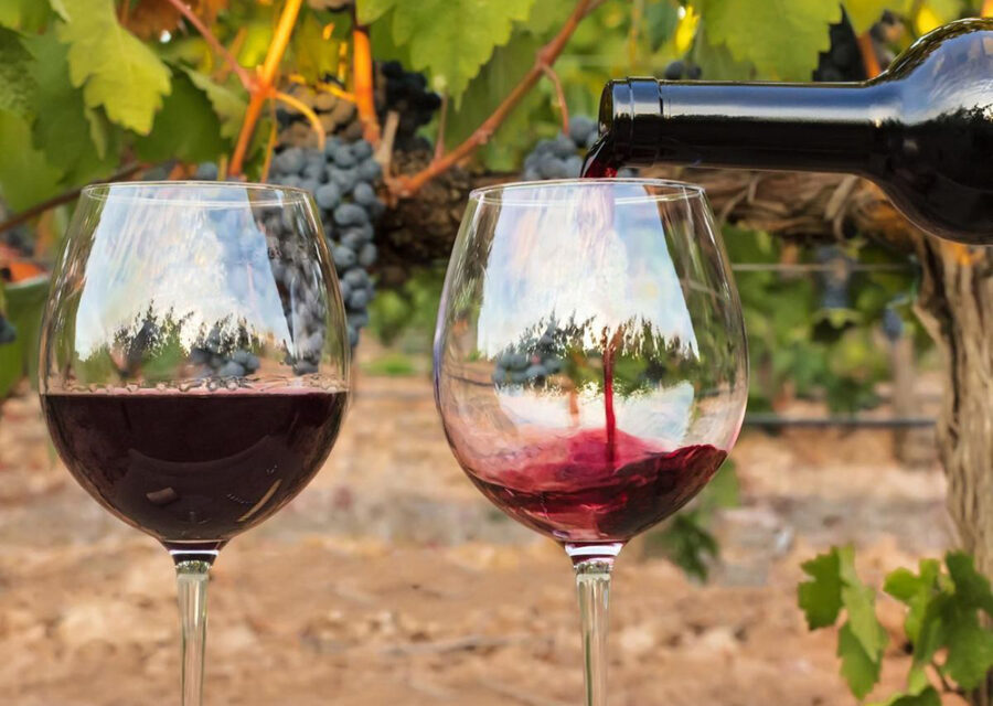 Photo représentant deux verres de vin.
