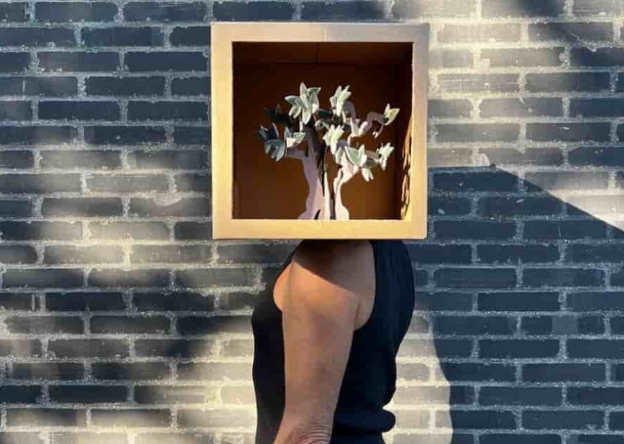 Un homme de profil devant un mur de briques noires. A la place de sa tête une boîte dont le côté est ouvert et dans laquelle on voit un arbre en 3 papier en 3D.